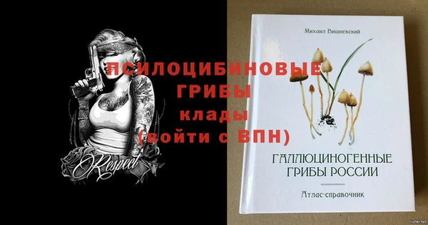 spice Арсеньев