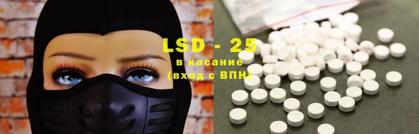 ешки Аркадак