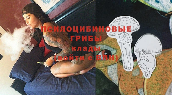 ешки Аркадак