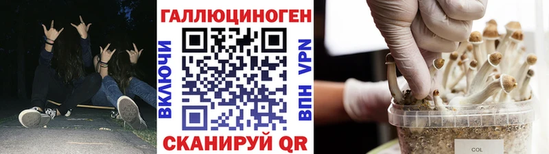 Псилоцибиновые грибы Magic Shrooms  Усть-Катав 