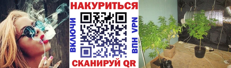 Марихуана AK-47  даркнет сайт  Усть-Катав 